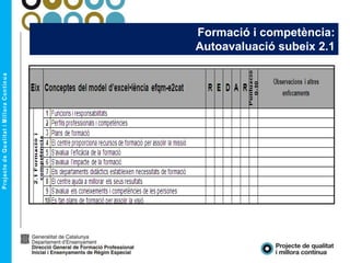 Formació i competència:
Autoavaluació subeix 2.1
 