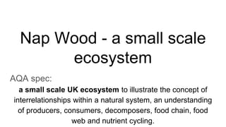 Nap Wood - a small scale
ecosystem
AQA spec:
a small scale UK ecosystem to illustrate the concept of
interrelationships within a natural system, an understanding
of producers, consumers, decomposers, food chain, food
web and nutrient cycling.
 