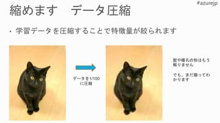 データを1/100
に圧縮
髭や瞳孔の形はもう
解りません
でも、まだ猫ってわ
かります
 