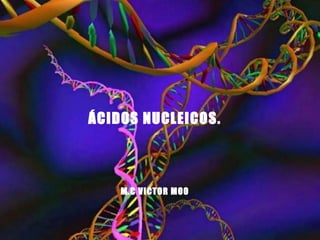 ÁCIDOS NUCLEICOS.
M.C VICTOR MOO
 