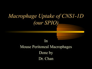 Macrophage Uptake of CNS1-1D
(our SPIO)
In
Mouse Peritoneal Macrophages
Done by
Dr. Chan
 