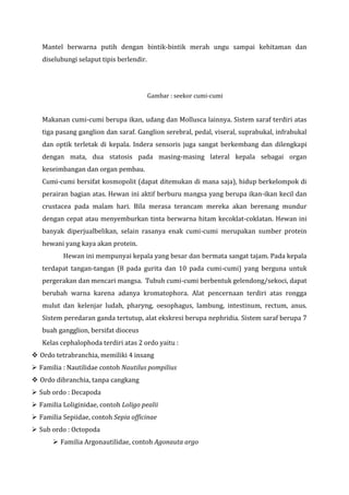 Mantel berwarna putih dengan bintik-bintik merah ungu sampai kehitaman dan
diselubungi selaput tipis berlendir.
Gambar : seekor cumi-cumi
Makanan cumi-cumi berupa ikan, udang dan Mollusca lainnya. Sistem saraf terdiri atas
tiga pasang ganglion dan saraf. Ganglion serebral, pedal, viseral, suprabukal, infrabukal
dan optik terletak di kepala. Indera sensoris juga sangat berkembang dan dilengkapi
dengan mata, dua statosis pada masing-masing lateral kepala sebagai organ
keseimbangan dan organ pembau.
Cumi-cumi bersifat kosmopolit (dapat ditemukan di mana saja), hidup berkelompok di
perairan bagian atas. Hewan ini aktif berburu mangsa yang berupa ikan-ikan kecil dan
crustacea pada malam hari. Bila merasa terancam mereka akan berenang mundur
dengan cepat atau menyemburkan tinta berwarna hitam kecoklat-coklatan. Hewan ini
banyak diperjualbelikan, selain rasanya enak cumi-cumi merupakan sumber protein
hewani yang kaya akan protein.
Hewan ini mempunyai kepala yang besar dan bermata sangat tajam. Pada kepala
terdapat tangan-tangan (8 pada gurita dan 10 pada cumi-cumi) yang berguna untuk
pergerakan dan mencari mangsa. Tubuh cumi-cumi berbentuk gelendong/sekoci, dapat
berubah warna karena adanya kromatophora. Alat pencernaan terdiri atas rongga
mulut dan kelenjar ludah, pharyng, oesophagus, lambung, intestinum, rectum, anus.
Sistem peredaran ganda tertutup, alat ekskresi berupa nephridia. Sistem saraf berupa 7
buah gangglion, bersifat dioceus
Kelas cephalophoda terdiri atas 2 ordo yaitu :
 Ordo tetrabranchia, memiliki 4 insang
 Familia : Nautilidae contoh Nautilus pompilius
 Ordo dibranchia, tanpa cangkang
 Sub ordo : Decapoda
 Familia Loliginidae, contoh Loligo pealii
 Familia Sepiidae, contoh Sepia officinae
 Sub ordo : Octopoda
 Familia Argonautilidae, contoh Agonauta argo
 
