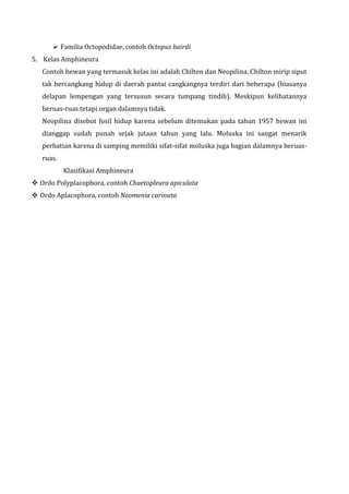  Familia Octopodidae, contoh Octopus bairdi
5. Kelas Amphineura
Contoh hewan yang termasuk kelas ini adalah Chilton dan Neopilina. Chilton mirip siput
tak bercangkang hidup di daerah pantai cangkangnya terdiri dari beberapa (biasanya
delapan lempengan yang tersusun secara tumpang tindih). Meskipun kelihatannya
beruas-ruas tetapi organ dalamnya tidak.
Neopilina disebut fosil hidup karena sebelum ditemukan pada tahun 1957 hewan ini
dianggap sudah punah sejak jutaan tahun yang lalu. Moluska ini sangat menarik
perhatian karena di samping memiliki sifat-sifat moluska juga bagian dalamnya beruas-
ruas.
Klasifikasi Amphineura
 Ordo Polyplacophora, contoh Chaetopleura apiculata
 Ordo Aplacophora, contoh Neomenia carinata
 