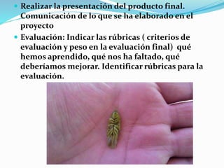  Realizar la presentación del producto final.
Comunicación de lo que se ha elaborado en el
proyecto
 Evaluación: Indicar las rúbricas ( criterios de
evaluación y peso en la evaluación final) qué
hemos aprendido, qué nos ha faltado, qué
deberíamos mejorar. Identificar rúbricas para la
evaluación.
 
