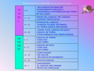 4 -8
- RECOGEMOS INFORMACIÓN
(CONOCIMIENTOS PREVIOS) Y
- MOSTRAMOS LA INFORMACIÓN QUE TRAEN
DE SUS CASAS.
11 - 15
PARTES DEL CARACOL: PIE, CONCHA,
CUERNOS (TENTÁCULOS)
18 - 22
INTERIOR DEL CARACOL:
-CORAZÓN, PULMÓN, ESTÓMAGO
-NO TIENEN HUESOS (MOLUSCOS)
25 - 29
- DÓNDE VIVEN: CARACOL DE AGUA Y
CARACOL DE TIERRA.
-OTROS ANIMALES QUE TIENEN CONCHA
2 - 5
CARACOL DE TIERRA:
-CÓMO SON
-QUÉ COMEN
8 - 12
CARACOL DE AGUA:
-COMO SON
-QUE COMEN
15 - 19
¿CÓMO NACEN?
- DE HUEVOS
- SECUENCIA DE NACIMIENTO
22 - 26 TIPOS DE CARACOL
29 - 3
CURIOSIDADES:
-EL CARACOL MAR GRANDE
-RECETA DE CARACOLES
OC
TU
BR
E
NO
VIE
MB
RE
Secuenciamos los contenidos (ejemplo: proyecto los caracoles)
 