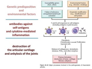 Genetic predisposition
and
environmental factors
antibodies against
self-antigens
and cytokine-mediated
inflammation
destruction of
the articular cartilage
and ankylosis of the joints
 