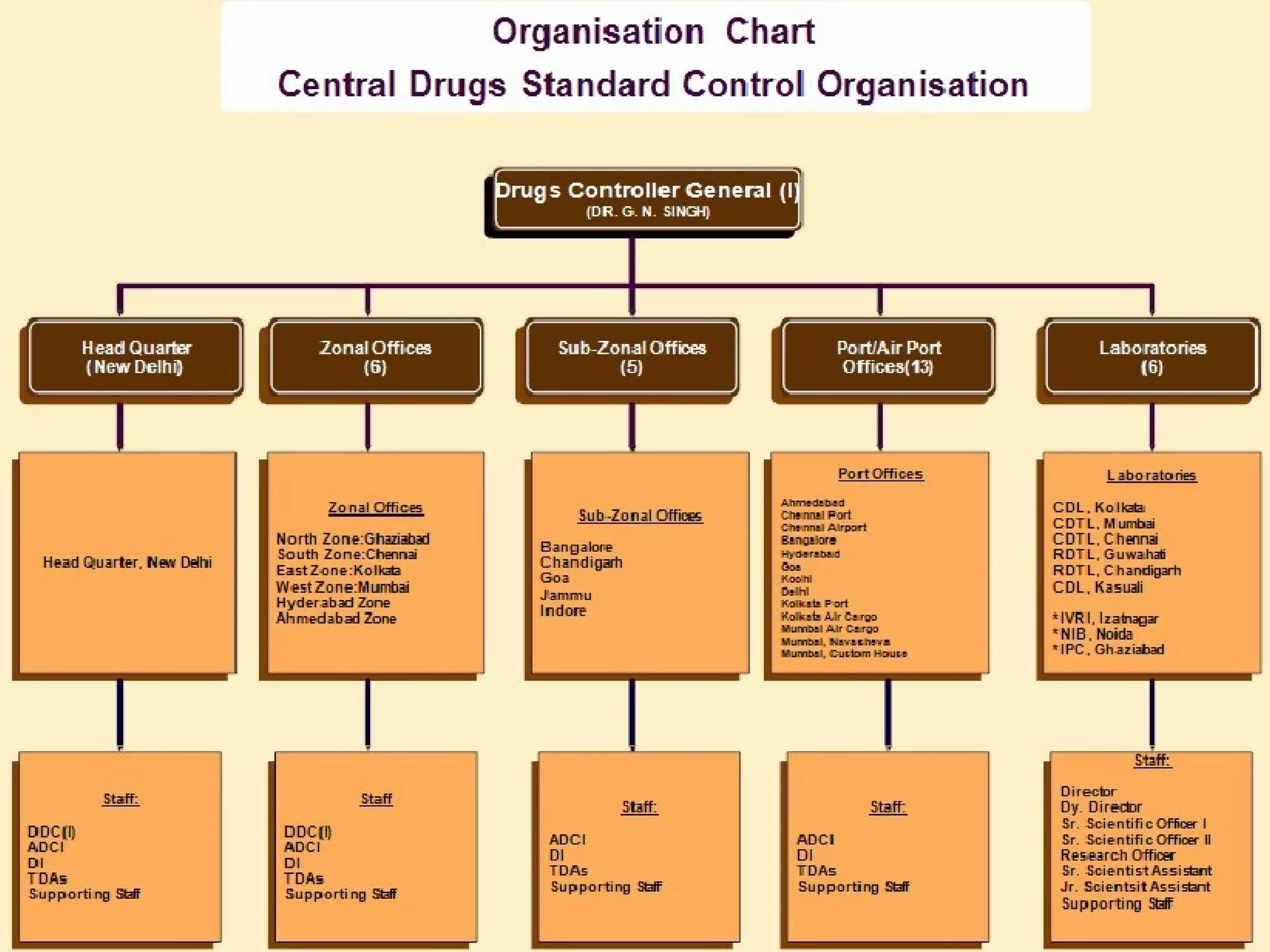 Organization Chart
 