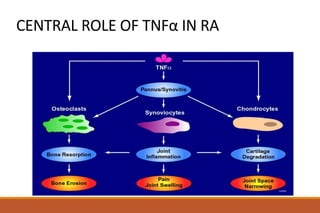 CENTRAL ROLE OF TNFα IN RA
 