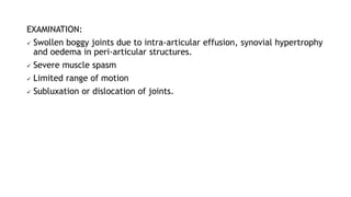 EXAMINATION:
✓ Swollen boggy joints due to intra-articular effusion, synovial hypertrophy
and oedema in peri-articular structures.
✓ Severe muscle spasm
✓ Limited range of motion
✓ Subluxation or dislocation of joints.
 