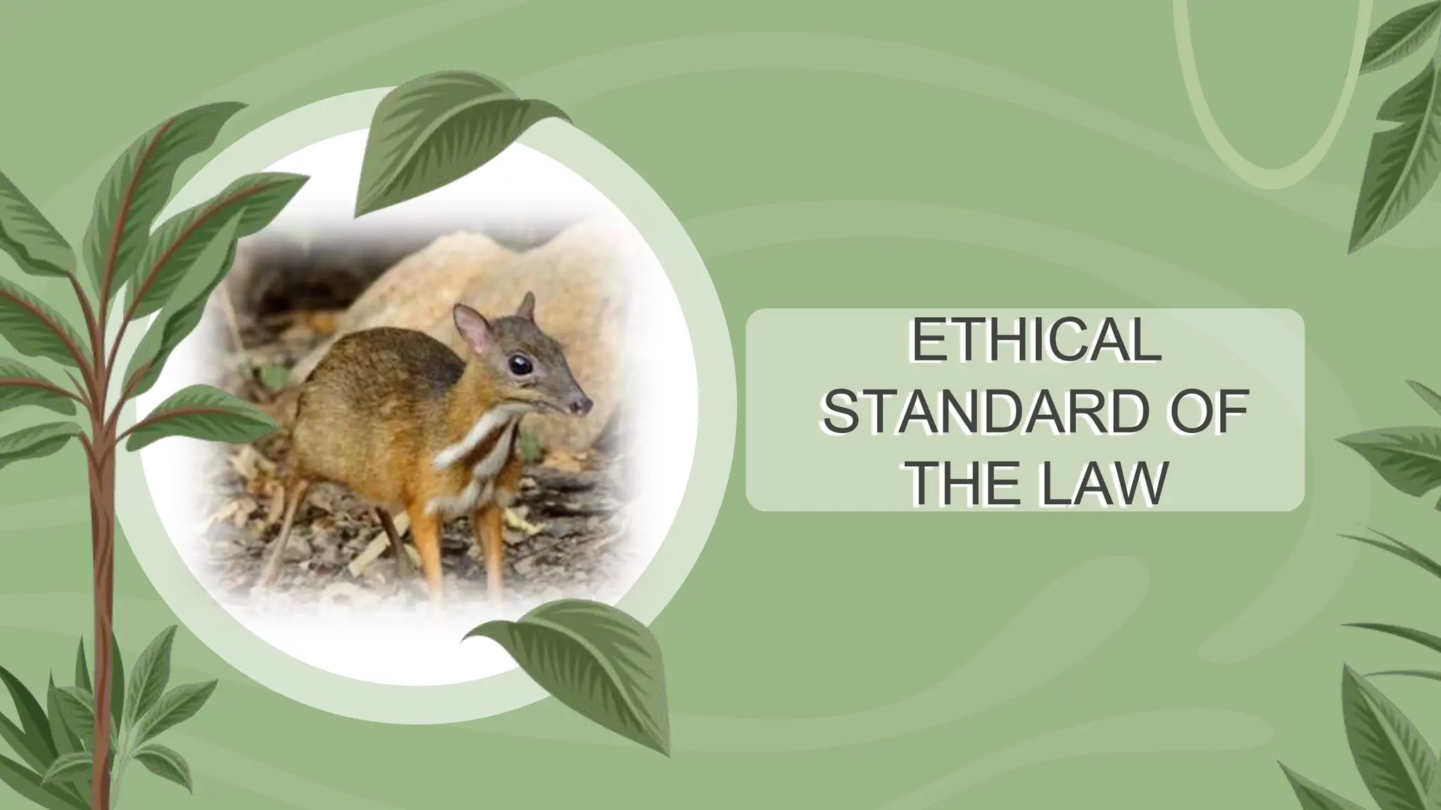 Republic Act. No. 9147 or the Wildlife Resources Conservation and ...