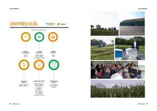 32 33
NOMBRE
DE SALARIÉS :
CHIFFRE
D’AFFAIRES :
NOMBRE
DE SITES :
AU 30 JUIN 2017
PÔLE NÉGOCE PÔLE NÉGOCE
CHIFFRES-CLÉS
283 602
en milliers d’euros
94226
842 000 T 51 000 T
(Aliteams)
COLLECTE
CÉRÉALES
AGROFOURNITURES
« L E S E X P E R T I S E S » - C R E V E C O E U R
C O L L E C T E D E M I E L - S I E G E T E R N O V E O« L E S E X P E R T I S E S » - C R E V E C O E U R
L E S E X P E R T I S E S - C R E V E C O E U R
C O N F É R E N C E A U X E X P E R T I S E S -
C R E V E C O E U R
C O L L E CT E A A C H I E T L E P E T IT
ALIMENTATION
ANIMALE
Nutrition des plantes :
192 500 T
Semences :
7 500 T
Santé des plantes :
47 800
en milliers d’euros
 