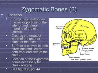 ZZyyggoommaattiicc BBoonneess ((22)) 
 LLooccaattiioonn 
 FFoorrmmss tthhee cchheeeekkbboonneess;; 
tthhee mmaajjoorr ppoorrttiioonnss ooff tthhee 
iinnffeerriioorr aanndd llaatteerraall 
mmaarrggiinnss ooff tthhee eeyyee 
ssoocckkeettss 
 CCrreeaatteess tthhee ggrreeaatteesstt 
wwiiddtthh ooff tthhee aanntteerriioorr 
ppllaannee ooff tthhee ffaaccee 
 SSuurrffaaccee iiss ccoonnvveexx iinn bbootthh 
ddiirreeccttiioonnss aanndd lliieess oonn 
bbootthh ffrroonntt aanndd ssiiddee ooff tthhee 
cchheeeekk 
 LLooccaattiioonn ooff tthhee zzyyggoommaattiicc 
bboonneess nneecceessssaarryy ffoorr 
cchheeeekk rroouuggiinngg 
 SSeeee ffiigguurree 66,, ppgg.. 4444 
 