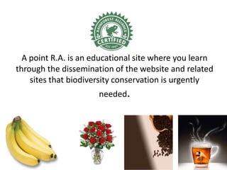 Sample Point Raa R.A. POINTS | PPTX