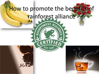 How to promote the benefits of rainforest alliance 