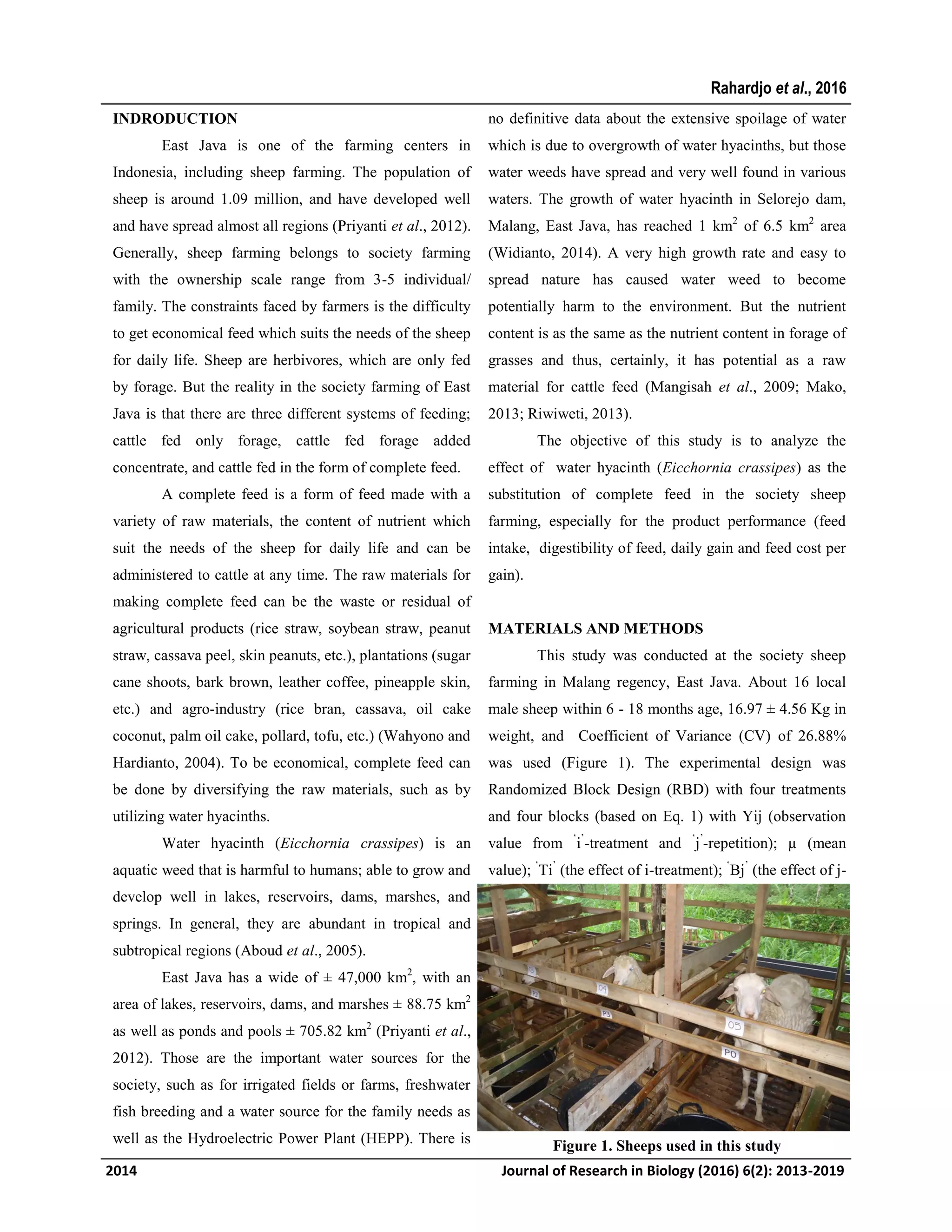 The utilization of water hyacinth (Eichhornia crassipes) as a ...