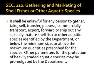  It shall be unlawful for any person to gather,
take, sell, transfer, possess, commercially
transport, export, forward or ship out any
sexually mature shell fish or other aquatic
species identified by the Department, or
below the minimum size, or above the
maximum quantities prescribed for the
species. Other parameters for the protection
of heavily traded aquatic species may be
promulgated by the Department.
 