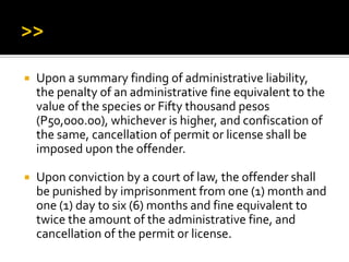  Upon a summary finding of administrative liability,
the penalty of an administrative fine equivalent to the
value of the species or Fifty thousand pesos
(P50,000.00), whichever is higher, and confiscation of
the same, cancellation of permit or license shall be
imposed upon the offender.
 Upon conviction by a court of law, the offender shall
be punished by imprisonment from one (1) month and
one (1) day to six (6) months and fine equivalent to
twice the amount of the administrative fine, and
cancellation of the permit or license.
 