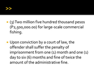  (3)Two million five hundred thousand pesos
(P2,500,000.00) for large-scale commercial
fishing.
 Upon conviction by a court of law, the
offender shall suffer the penalty of
imprisonment from one (1) month and one (1)
day to six (6) months and fine of twice the
amount of the administrative fine.
 