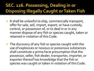  It shall be unlawful to ship, commercially transport,
offer for sale, sell, import, export, or have custody,
control, or possession of, or to deal in or in any
manner dispose of any fish or species caught, taken or
retained in violation of this Code.
 The discovery of any fish or species caught with the
use of explosives or noxious or poisonous substances
shall constitute a prima facie presumption that the
possessor, seller, fish dealer, transporter, importer, or
exporter thereof has knowledge that the fish or
species was caught or taken in violation of this Code.
 