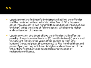 Upon a summary finding of administrative liability, the offender
shall be punished with an administrative fine of Fifty thousand
pesos (P50,000.00) toTwo hundred thousand pesos (P200,000.00)
or five (5) times the value of fish or species, whichever is higher,
and confiscation of the same.
 Upon conviction by a court of law, the offender shall suffer the
penalty of imprisonment from six (6) months to two (2) years, and
fine of eight (8) times the value of the species or from One
hundred thousand pesos (P100,000.00) to Five hundred thousand
pesos (P500,000.00), whichever is higher and confiscation of the
fish or fishery products and suspension or revocation of
registration or license.
 