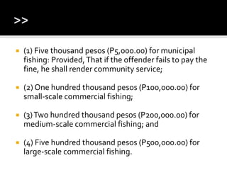  (1) Five thousand pesos (P5,000.00) for municipal
fishing: Provided,That if the offender fails to pay the
fine, he shall render community service;
 (2) One hundred thousand pesos (P100,000.00) for
small-scale commercial fishing;
 (3)Two hundred thousand pesos (P200,000.00) for
medium-scale commercial fishing; and
 (4) Five hundred thousand pesos (P500,000.00) for
large-scale commercial fishing.
 