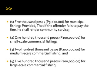  (1) Five thousand pesos (P5,000.00)) for municipal
fishing: Provided,That if the offender fails to pay the
fine, he shall render community service;
 (2) One hundred thousand pesos (P100,000.00) for
small-scale commercial fishing;
 (3)Two hundred thousand pesos (P200,000.00) for
medium-scale commercial fishing; and
 (4) Five hundred thousand pesos (P500,000.00) for
large-scale commercial fishing.
 
