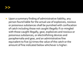  Upon a summary finding of administrative liability, any
person found liable for the actual use of explosives, noxious
or poisonous substances shall be punished with confiscation
of catch including those not caught illegally if co-mingled
with those caught illegally, gear, explosives and noxious or
poisonous substances, or electrofishing devices and
paraphernalia and gear, and an administrative fine
equivalent to five (5) times the value of the catch or the
amount of fine indicated below whichever is higher:
 