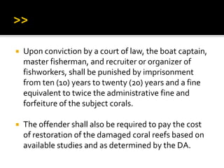  Upon conviction by a court of law, the boat captain,
master fisherman, and recruiter or organizer of
fishworkers, shall be punished by imprisonment
from ten (10) years to twenty (20) years and a fine
equivalent to twice the administrative fine and
forfeiture of the subject corals.
 The offender shall also be required to pay the cost
of restoration of the damaged coral reefs based on
available studies and as determined by the DA.
 