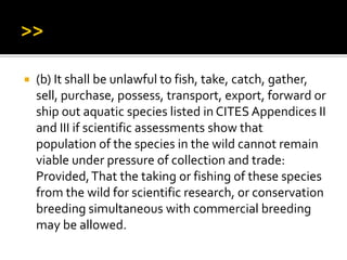  (b) It shall be unlawful to fish, take, catch, gather,
sell, purchase, possess, transport, export, forward or
ship out aquatic species listed in CITES Appendices II
and III if scientific assessments show that
population of the species in the wild cannot remain
viable under pressure of collection and trade:
Provided,That the taking or fishing of these species
from the wild for scientific research, or conservation
breeding simultaneous with commercial breeding
may be allowed.
 