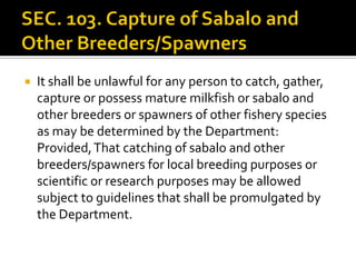  It shall be unlawful for any person to catch, gather,
capture or possess mature milkfish or sabalo and
other breeders or spawners of other fishery species
as may be determined by the Department:
Provided,That catching of sabalo and other
breeders/spawners for local breeding purposes or
scientific or research purposes may be allowed
subject to guidelines that shall be promulgated by
the Department.
 