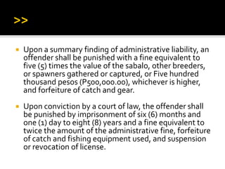  Upon a summary finding of administrative liability, an
offender shall be punished with a fine equivalent to
five (5) times the value of the sabalo, other breeders,
or spawners gathered or captured, or Five hundred
thousand pesos (P500,000.00), whichever is higher,
and forfeiture of catch and gear.
 Upon conviction by a court of law, the offender shall
be punished by imprisonment of six (6) months and
one (1) day to eight (8) years and a fine equivalent to
twice the amount of the administrative fine, forfeiture
of catch and fishing equipment used, and suspension
or revocation of license.
 