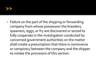  Failure on the part of the shipping or forwarding
company from whose possession the breeders,
spawners, eggs, or fry are discovered or seized to
fully cooperate in the investigation conducted by
concerned government authorities on the matter
shall create a presumption that there is connivance
or conspiracy between the company and the shipper
to violate the provisions of this section.
 