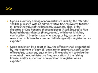  Upon a summary finding of administrative liability, the offender
shall be punished with an administrative fine equivalent to three
(3) times the value of the breeders, spawners, eggs, or fry
exported or One hundred thousand pesos (P100,000.00) to Five
hundred thousand pesos (P500,000.00), whichever is higher,
confiscation of breeders, spawners, eggs or fry, suspension or
revocation of license for commercial fishing and/or registration as
exporter.
 Upon conviction by a court of law, the offender shall be punished
by imprisonment of eight (8) years to ten (10) years, confiscation
of breeders, spawners, eggs or fry, a fine equivalent to twice the
amount of the administrative fine, revocation of the fishing
license, and/or suspension or revocation of registration as
exporter.
 