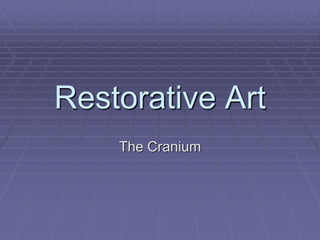 Restorative Art 
The Cranium 
 