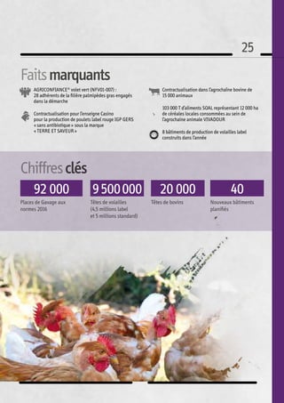 25
92 000
Places de Gavage aux
normes 2016
9 500 000
Têtes de volailles
(4,5 millions label
et 5 millions standard)
20 000
Têtes de bovins
40
Nouveaux bâtiments
planifiés
Chiffresclés
AGRICONFIANCE®
volet vert (NFV01-007) :
28 adhérents de la filière palmipèdes gras engagés
dans la démarche
Contractualisation pour l’enseigne Casino
pour la production de poulets label rouge IGP GERS
« sans antibiotique » sous la marque
« TERRE ET SAVEUR » 
Contractualisation dans l’agrochaîne bovine de
15 000 animaux
103 000 T d’aliments SOAL représentant 12 000 ha
de céréales locales consommées au sein de
l’agrochaine animale VIVADOUR
8 bâtiments de production de volailles label
construits dans l’année
Faitsmarquants
 