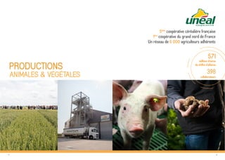 13
Chiffres clés
Production végétale
Tonnage Collecte : 2,6 millions de tonnes
Chiffre d’affaires appro : 250 millions d’euros
Tonnage Semences : 32 600 tonnes
Production animale
Chiffre d’affaires aliments : 92,8 millions d’euros
Tonnage aliments : 350 000 tonnes
Chiffre d’affaires Animaux : 63,8 millions d’euros
Machinisme
Chiffre d’affaires : 122 millions d’euros
15 bases : 4 CASA Service Machine
7 CASA Agripro
4 Ets Verhaeghe
Distribution verte
Chiffre d’affaires : 189,9 millions d’euros
Nombre de magasins : 90 magasins sous enseigne Gamm Vert
Surface commerciale : 200 000m2
Nombre de passages en caisse : 6 millions/an
1,272
milliard d’euros
de chiffre d’affaires
consolidé
millions d’euros de résultat net
11,5
millions d’euros de fonds propres
239
 