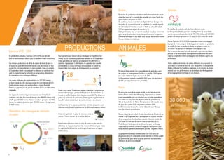 16
«Les différents métiers puisent dans les
racines coopératives du Groupe les valeurs
qui font la différence au quotidien.»
Cultiver la gouvernance démocratique
avec un véritable désir de coopérer, de
fédérer, de partager et de préserver un solide
engagement de tous ses acteurs.
Cultiver la pratique
de nos métiers
Les Hommes sont à la base même du fonctionnement du Groupe
Advitam. Créé à l’initiative des adhérents de la Coopérative agricole
Unéal, le Groupe poursuit, saison après saison, ses ambitions sous
l’impulsion et en accord avec les orientations données par le Conseil
d’Administration.
Composée d’agriculteurs élus par leurs pairs, cette instance de
gouvernance est à la base des décisions stratégiques prises dans le
respect de la démocratie, fondement du fonctionnement coopératif, et
des valeurs qu’il défend : mutualisme, responsabilité, transparence,
équité, solidarité. Elle est également garante de sa sécurité, sa
croissance et sa pérennité.
Cultiver la qualité et la satisfaction de tous,
par une écoute attentive des attentes des
interlocuteurs, agriculteurs, clients, partenaires
ou collaborateurs, pour les guider et les conseiller
dans la réussite de leurs projets.
Le Groupe Advitam investit pour une plus grande technicité dans ses
activités et pour une approche métier plus personnalisée. Il dispose
de compétences variées et a su s’entourer au fil des années de
professionnels qualifiés et passionnés par leur métier. Quel que soit
leur domaine d’activité, les collaborateurs du Groupe Advitam suivent,
saison après saison, des formations adaptées afin de proposer les
meilleurs services, offres et solutions.
Par la mobilisation et le professionnalisme de ses forces vives, et de
l’ensemble de ses partenaires et interlocuteurs, le Groupe Advitam
poursuit son évolution.
 