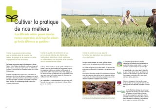 9
Bertrand Hernu
Président
Conseil d’administration
Laurent Bué
Vice-Président
Anne Vandenbossche
Vice-Présidente
Adrien Blanchart
Administrateur
Benoît Bonvoisin
Administrateur
Bernard Cannesson
Administrateur
Christophe Cannesson
Administrateur
Nicolas Debrabant
Administrateur
Eric Decodts
Administrateur
Gabriel Delory
Administrateur
Hubert Delplanque
Administrateur
Philippe Denuncq
Administrateur
Luc Desbuquois
Administrateur
Marc Dufour
Administrateur
Grégoire Fauville
Administrateur
Thierry Jansens
Administrateur
Guy Lecocq
Administrateur
Armel Lesaffre
Administrateur
Jean-Paul Lorriaux
Administrateur
Alain Prins
Administrateur
Isabelle Vertaen
Administratrice
Sylvain Vidril
Administrateur
1.
2.
3.
4.
5.
Le Conseil d’Administration est composé
de 24 Administrateurs dont le Président
et 2 Vice-Présidents.
Composée d’agriculteurs élus par leurs pairs, cette instance de
gouvernance est à l’origine des décisions stratégiques prises dans le
respect de la démocratie, base du fonctionnement coopératif, et des
valeurs qu’il défend : mutualisme, responsabilité, transparence, équité,
solidarité.
6.
7.
8.
9.
10.
11.
12.
13.
14.
15.
16.
17.
18.
19.
20.
21.
1
12
2
3 4 5
6 7 8
9 10 11
13 14
15 16 17
18 19 20
21
3 administrateurs stagiaires :
- Damien Demeure
- Nicolas Fernet
- Cédric Martel
 