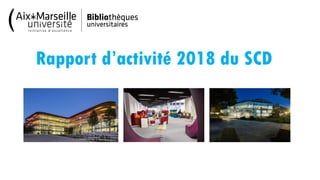 Rapport d’activité 2018 du SCD
 