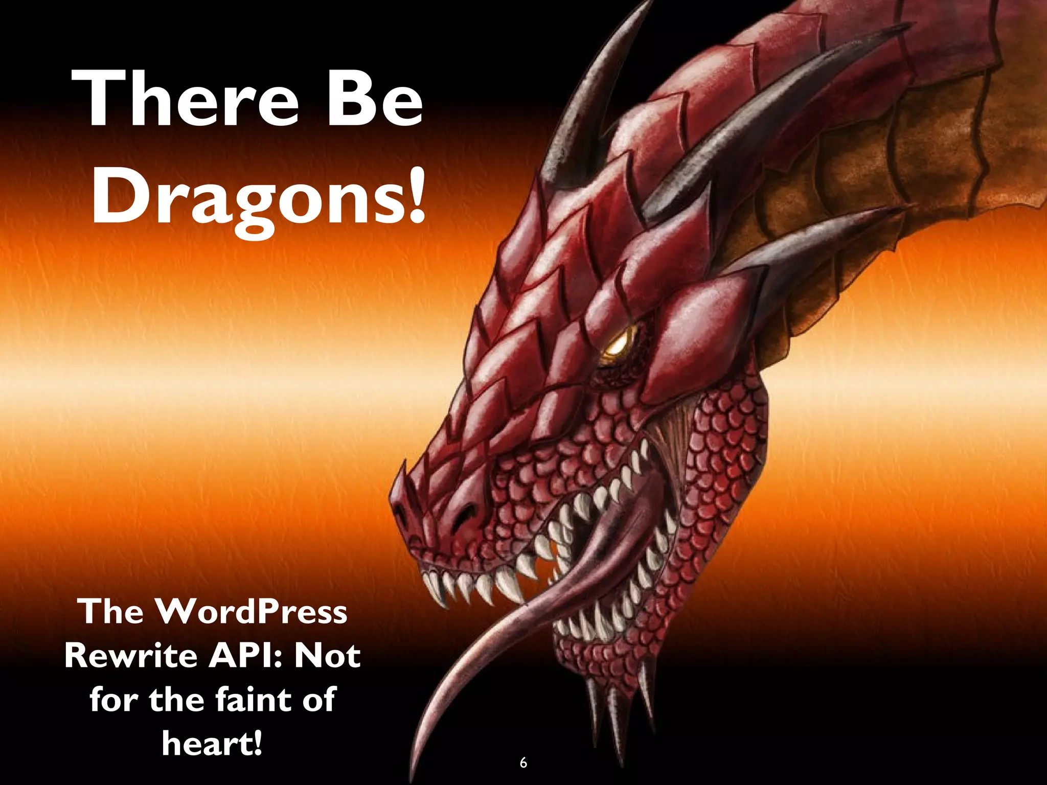 6
There Be
Dragons!
The WordPress
Rewrite API: Not
for the faint of
heart! 6
 
