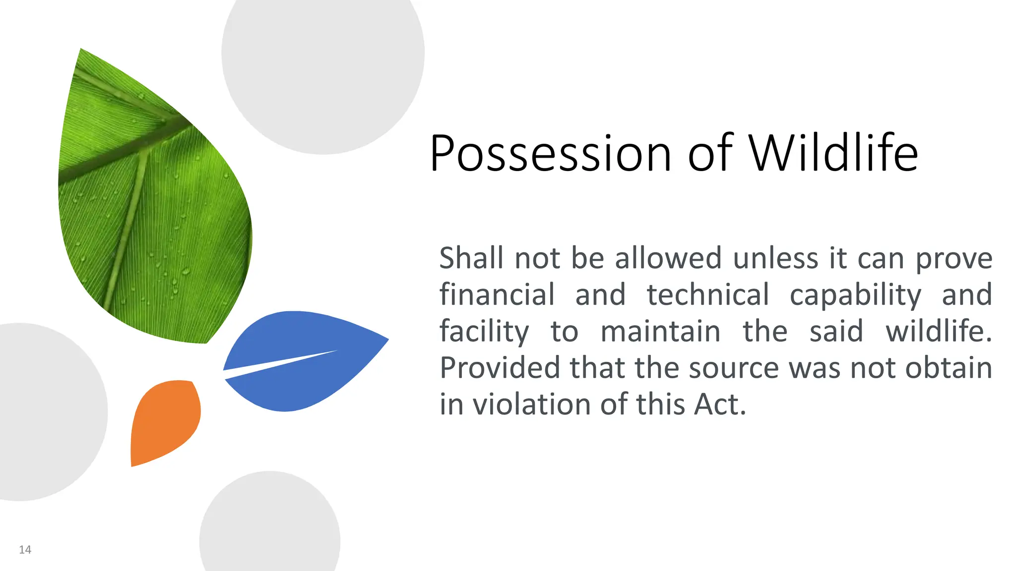 Republic Act 9147 ( PROTECTION OF WILDLIFE RESORCES).pptx