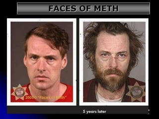 14
FACES OF METH
 