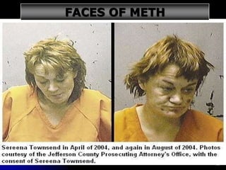 13
FACES OF METH
 