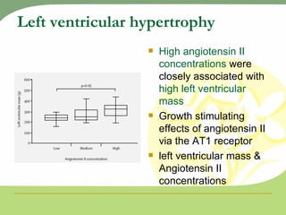 Left ventricular hypertrophy High angiotensin II concentrations  were closely associated with  high left ventricular mass Growth stimulating effects of angiotensin II via the AT1 receptor left ventricular mass &  Angiotensin II concentrations 