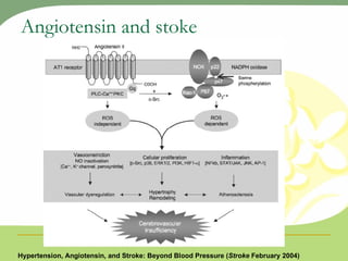 Angiotensin and stoke Hypertension, Angiotensin, and Stroke: Beyond Blood Pressure ( Stroke  February 2004) 