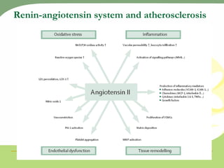 Renin-angiotensin system and atherosclerosis 