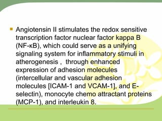 Angiotensin II stimulates the redox sensitive transcription factor nuclear factor kappa B (NF-κB), which could serve as a unifying signaling system for inflammatory stimuli in atherogenesis ,  through enhanced expression of adhesion molecules (intercellular and vascular adhesion molecules [ICAM-1 and VCAM-1], and E-selectin), monocyte chemo attractant proteins (MCP-1), and interleukin 8.  