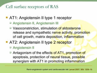 Cell surface receptors of RAS AT1: Angiotensin II type 1 receptor  Angiotensin II, Angiotensin III   Vasoconstriction, stimulation of aldosterone release and sympathetic nerve activity, promotion of cell growth, matrix deposition, inflammation AT2: Angiotensin II type 2 receptor  Angiotensin II Antagonism of the effects of AT1, promotion of apoptosis, protection of neural tissue, possible synergism with AT1 in promoting inflammation Renin-angiotensin system and cardiovascular risk  Lancet 2007; 369: 1208–19 