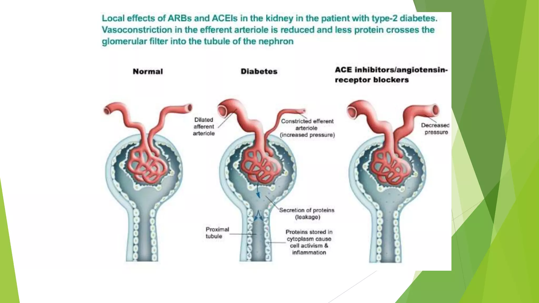 Drugs acting on Renin Angiotensin Aldosterone system | PPTX