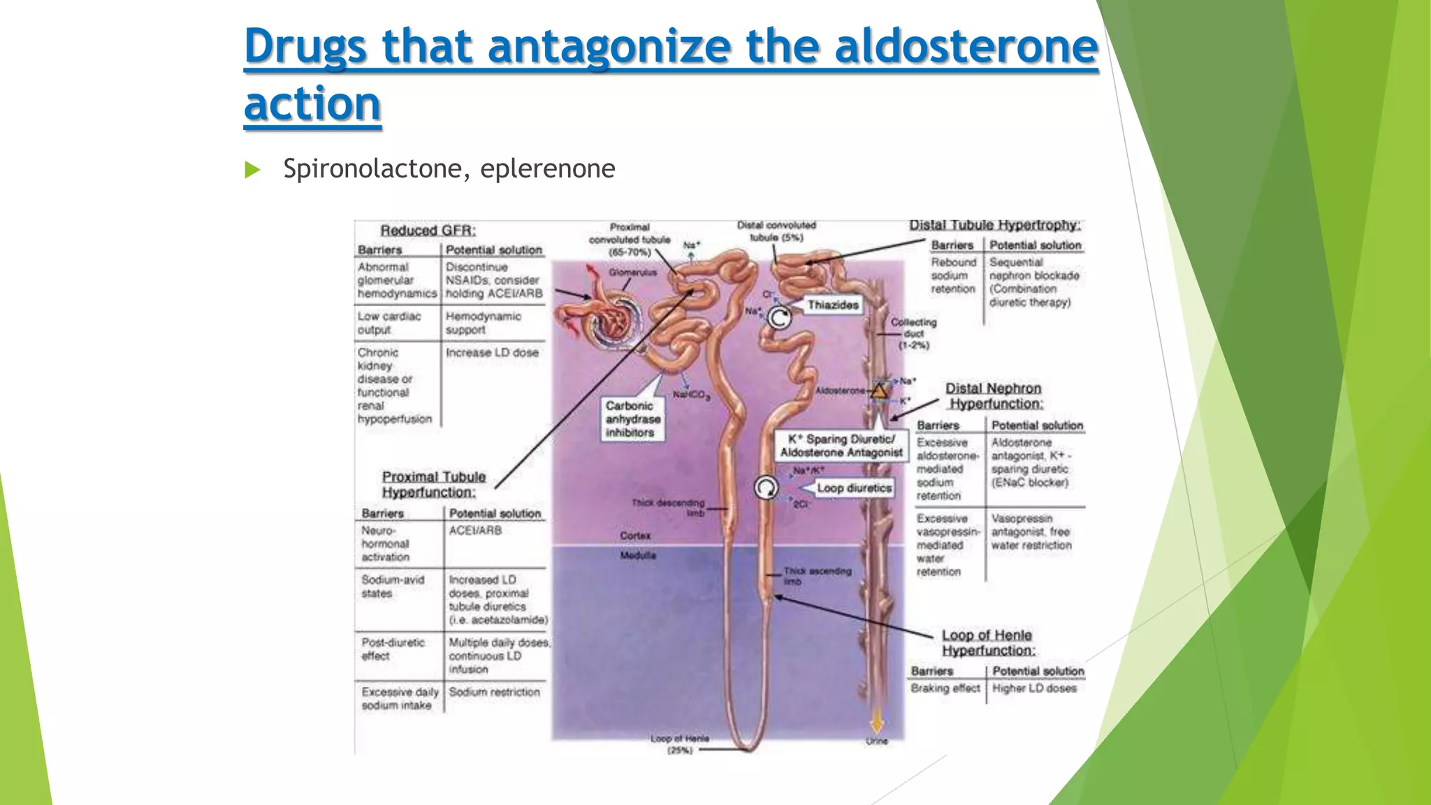 Drugs acting on Renin Angiotensin Aldosterone system | PPTX